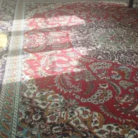 فرش مشهد|فرش|شیروان (خراسان), |دیوار