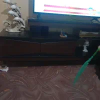 فروش لوازم خانگی|مبلمان خانگی و میز عسلی|زبرخان, |دیوار