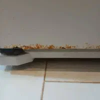 رنگ کردن یخچال ولوازم|خدمات پیشه و مهارت|ساوه, |دیوار