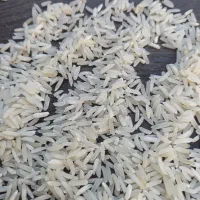 برنج طارم رضی نخ ریز