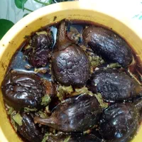 انواع ترشی خونگی وارگانیک|خوردنی و آشامیدنی|اهواز, بهارستان|دیوار