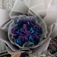 گل روبانی و باکس پول