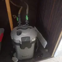 اکواریوم|ماهی|مشهد, مشکینی (شهرک غرب)|دیوار