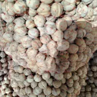 فروش بادام وگردوی درجه یک  صادراتی اقلید فارس