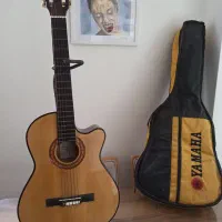 گیتار + کاور  + پایه