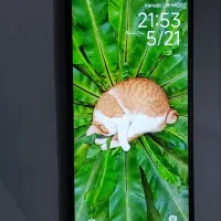 redmi15c|موبایل|مشهد, شهید قربانی|دیوار