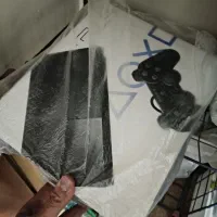 پلی استیشن ۲ فلش خور