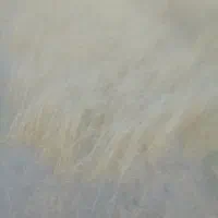 کاه امسالی صالح الح اباد  درازاب