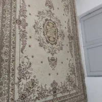 قالی6متری دوتخته