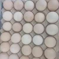 تخم مرغ دو زرده