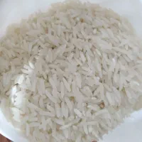 برنج ایرانی|خوردنی و آشامیدنی|بهار, |دیوار