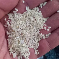 برنج محلی  خوش پخت  خوش  طعم  عطری|خوردنی و آشامیدنی|صحنه, |دیوار