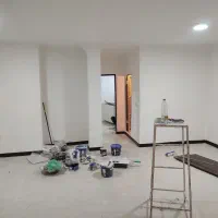 نقاشی ساختمان|خدمات پیشه و مهارت|دوگنبدان, |دیوار