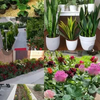 خدمات.باغبانی.وگلکاری.‌‌‌‌‌‌‌وفضای.سبز