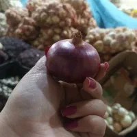 انواع پیاز ریز‌ ترشی|خوردنی و آشامیدنی|تهران, چیتگر جنوبی|دیوار