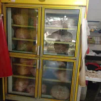 پخچال فریزر