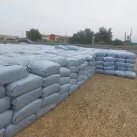 علوفه ذرت بسته بندی