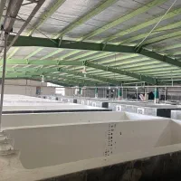 جذب نیروی کار در کارگاه مرکز تکثیر لارو میگو