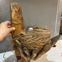 آیاژور  دیواری چراغ دار چوبی