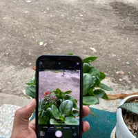 Iphone 12 pro max 256|موبایل|رشت, پل تالشان|دیوار