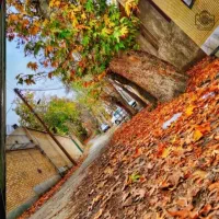 زمین شهرنیاسرکاشان/دوبر/ششدانگ پروانه ساخت/240 متر