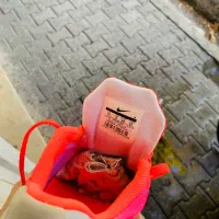 نایک اورجینال|کیف، کفش، کمربند|میاندوآب, |دیوار