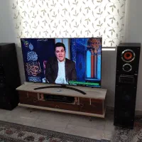اسپیکر بلندگوپرقدرت مارشال. سیستم صوتی