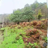 ویلا در دل طبیعت **|اجارهٔ کوتاهمدت ویلا و باغ|ماکلوان, |دیوار