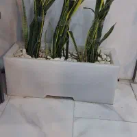 گلدان فایبرگلاس ب فروش میرسد