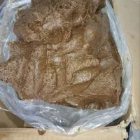 نیازمند سرمایه گذار|فعالیت داوطلبانه|ماهدشت, |دیوار