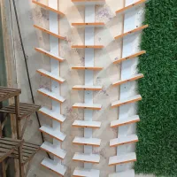 چمن و ویترین کفش و مانکن