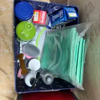 سگ نژاد مالتیپو‌ عروسکی|سگ|تهران, علم و صنعت|دیوار