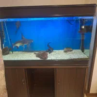 اکواریم بفرستید شیشه خارجیه 8 میل