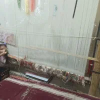 فروش قالب|فرش|آذرشهر, |دیوار