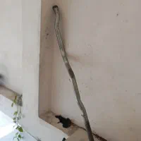 سنتر درحد نو