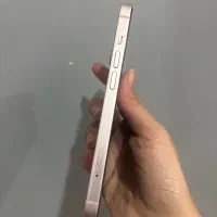 IPhone 13 Normal|موبایل|قم, نیروگاه|دیوار