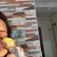 عروس هلندی کاملا خونگی رام سخنگو و دستی