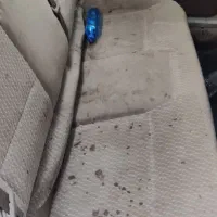 مبل شویی موکت فرش صندلی خلیج فارس|خدمات نظافت|بندرعباس, |دیوار