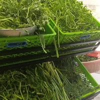 سبزی خردکنی ریحون