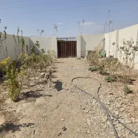 فروش باغ