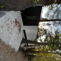 کاسبی/سند شش دانگ/مجوز شهرداری/رسول اکرم بکه