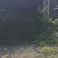 زمین مسکونی لاهیجان پروانه ساخت ویو ابدی|فروش زمین و ملک کلنگی|لاهیجان, بوجایه|دیوار