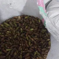 فروش بلوط یاسوج ریز و تمیز|خوردنی و آشامیدنی|ایذه, |دیوار