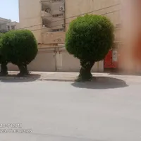 خانه ویلایی  سر دو نبش|فروش خانه و ویلا|اهواز, کمپلو شمالی|دیوار