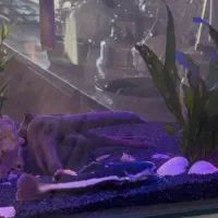 آکواریوم کامل|ماهی|سقز, |دیوار