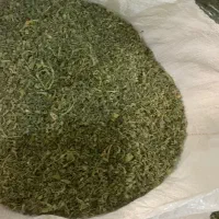 شنبلیله خشک