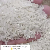 برنج فجر اعلاء فقط 30درصد لاشه داره کیلویی 170ت|خوردنی و آشامیدنی|گنبد کاووس, |دیوار