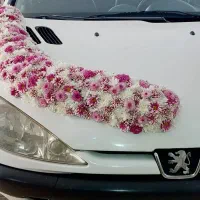 گل کاری حامد