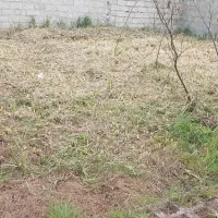 آرا مسکن گلسار/زمین 120m مسکونی ژ5