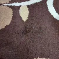 فرش فانتزی|فرش|قم, هفت تیر|دیوار